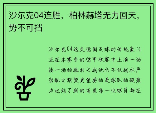 沙尔克04连胜，柏林赫塔无力回天，势不可挡